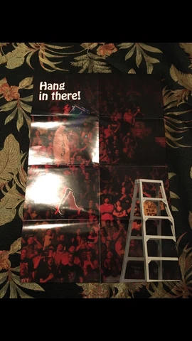 WWE Loot Slam Crate High Flyers Aj Styles Poster And Stickers MITB Hang In There Cover