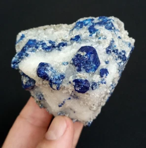 Lapis Lazuli with Pyrite from Badakshan Afghanistan. - Picture 1 of 9