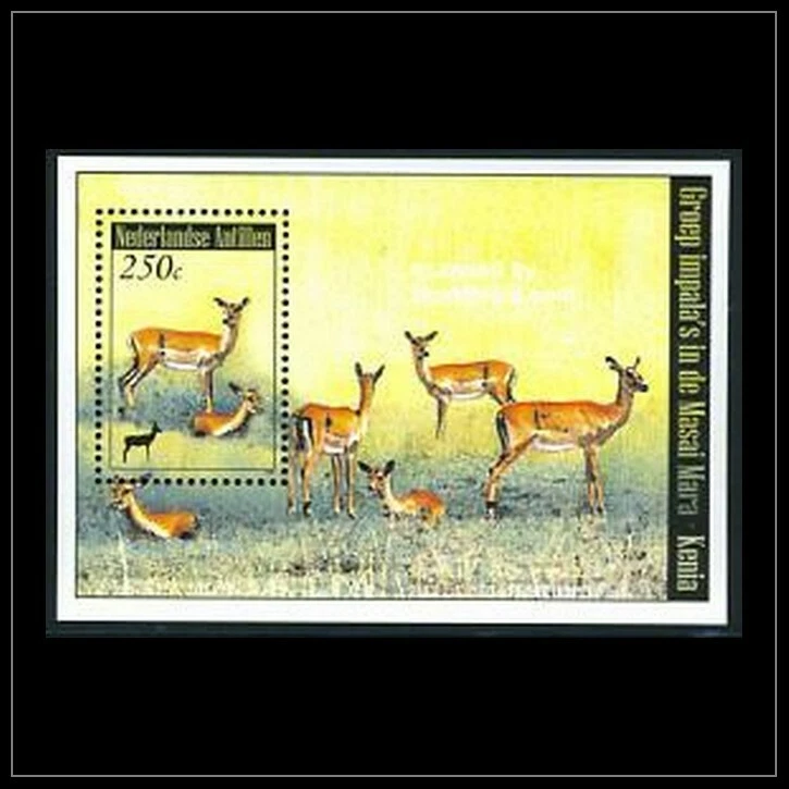 Нидерланды - Голландские Антильские острова выпуск 2008 (SS 1858) животные - олени - Изображение 1 из 1