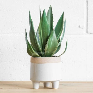 33cm Tall Artificial Aloe Vera House Plant Potted in Grey Ceramic Planter Pot - Picture 1 of 5