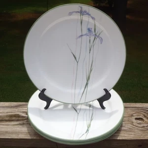6 Corelle SHADOW IRIS Tempered Glass 10.25" DINNER PLATES w/Green Trim Excellent - Picture 1 of 5