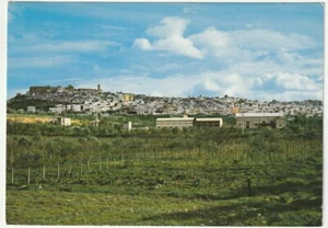 MINERVINO MURGE - BARI - SCORCIO PANORAMICO - VIAGG. -60936- - Picture 1 of 1