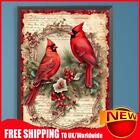Paint By Numbers Kit DIY Oil Art Cardinal Picture Home Wall Decoration 30x40cm