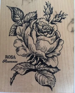 Rose PSX Stempel Botanical Rosa Blume K-023 Vintage 1992 Floral Garden Blätter - Bild 1 von 5