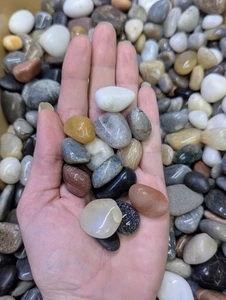 1/2 lb. Surtido de piedras caídas: tamaño pequeño a mediano, cristales sorpresa misterio - Imagen 1 de 6