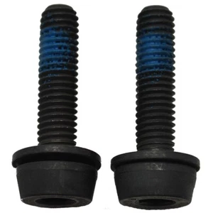 Pernos pinza trasera de montaje plano Campagnolo AC18-DB todos los tamaños - Imagen 1 de 1