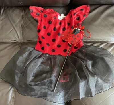 Disfraz Ladybug niña con varita talla 2-3 años Foto 1 de 4