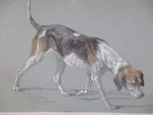 RICHARD Benno ADAM MÜNCHEN Zeichnung Jagdhund "deutsche Bracke" sign. + bez. - Bild 1 von 13