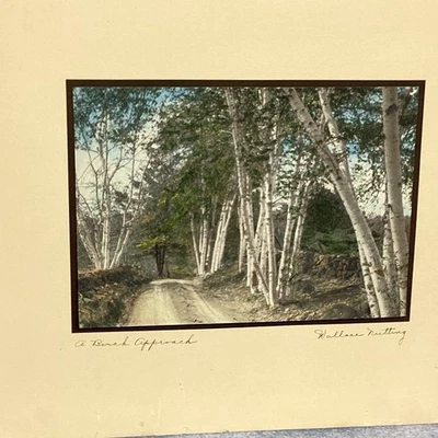 Signed Wallace Nutting Print "A Birch Approach" Mounted for Framing 6.75" x 4.75 - Image 1 of 4