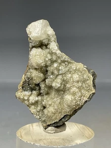SS Rocks - Phacolite (Beech Creek, Mt. Vernon, Oregon) 10,9g - Bild 1 von 6