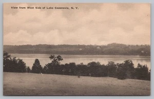 Lake Cazenovia NY View From West Side c1920 Albertype Postcard Unposted - Picture 1 of 2