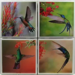 Juego de 4 - Posavasos de azulejos de cerámica - Colibríes (Compra 2 juegos y obtén 1 gratis) 4 A - Imagen 1 de 6