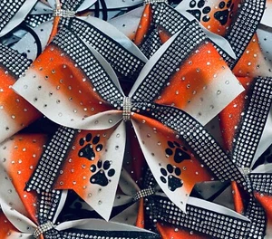 Custom Paw Print Ombre Rhinestone Cheer Bow - you choose colors - Picture 1 of 1
