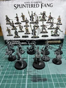 Warhammer AoS Warcry Splintered Fang 10x models built, unpainted, magnetize #04 - Picture 1 of 4