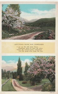 Vintage Postcard  Poem about the New England landscape, Greetings New Hampshire - Picture 1 of 2