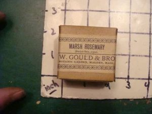 unused old store stock -- S W GOULD & bros -- MARSH ROSEMARY - Picture 1 of 3
