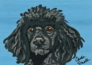 ACEO ATC Original Schwarzer Pudel Haustier Hund Kunst Gemälde-Carla Smale - Bild 1 von 2