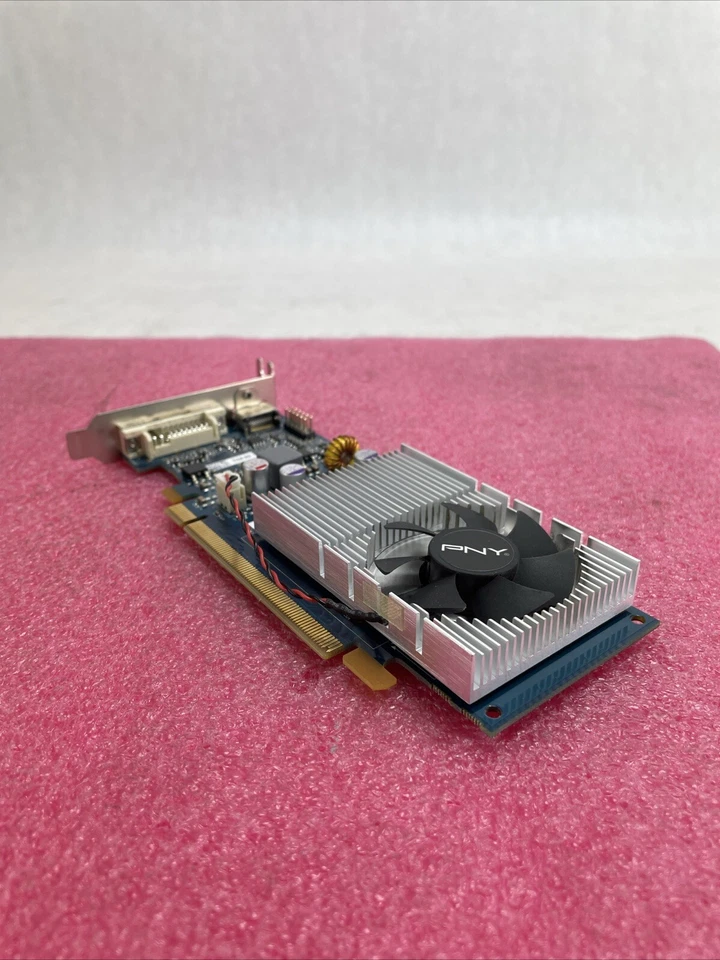 PNY Technologies GeForce 210 Plus DDR2 1GB PCIe 2.0 Graphics Card - Image 1 of 4