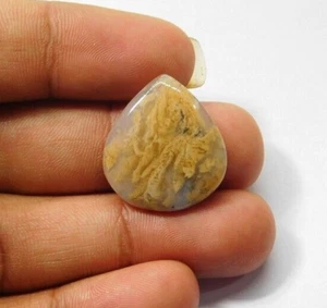 Dendrita de tigre cabujón dendrita natural piedras preciosas sueltas joyería 19 quilates ME-8471 - Imagen 1 de 3