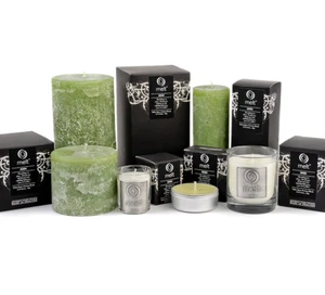 Melt - Eden - Picture 1 of 6