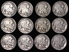 All 12 Nice Coins 1934 - 1938 P D S Buffalo Nickels 5c! Short Set! Free P/H