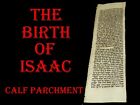 TORAH BIBLE VELLUM MANUSCRIPT FRAGMENT/LEAF 100-150 YRS OLD FROM ISAREL Genesis