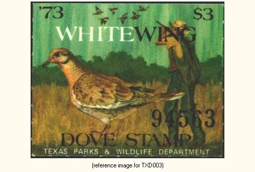 D2K Texas White-wing Dove 1973 $3.00 - Image 1 of 1