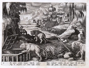 TIGER HUNTING "Ex antro catulos venator Tigridis" Stradanus 1596 ANTIQUE PRINT - Picture 1 of 3