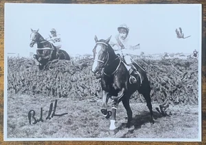 Bob Champion auf Alderniti Grand National Win Fotodruck A5 Autogramm Vordruck - Bild 1 von 1