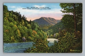Sharp Top Pigeon River Great Smoky Mountains North Carolina Vintage Postcard - Picture 1 of 2