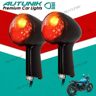 LED Rear Turn Signals for Harley-Davidson Sportster Iron 883 1200 1992-2022 Foto 1 de 4