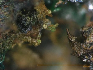 Favreauit - El Dragon mine, Bolivia - Picture 1 of 4