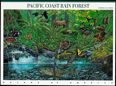 EUA 10 Selos Perfeitos Floresta Tropical da Costa do Pacífico: Patos Arlequim, Ursa Americana - Imagem 1 de 2