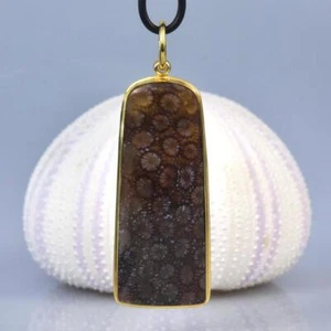 Anhänger achatisierter Fossil Korallen-Cabochon & Gold Vermeil vorbei Sterling - Bild 1 von 12