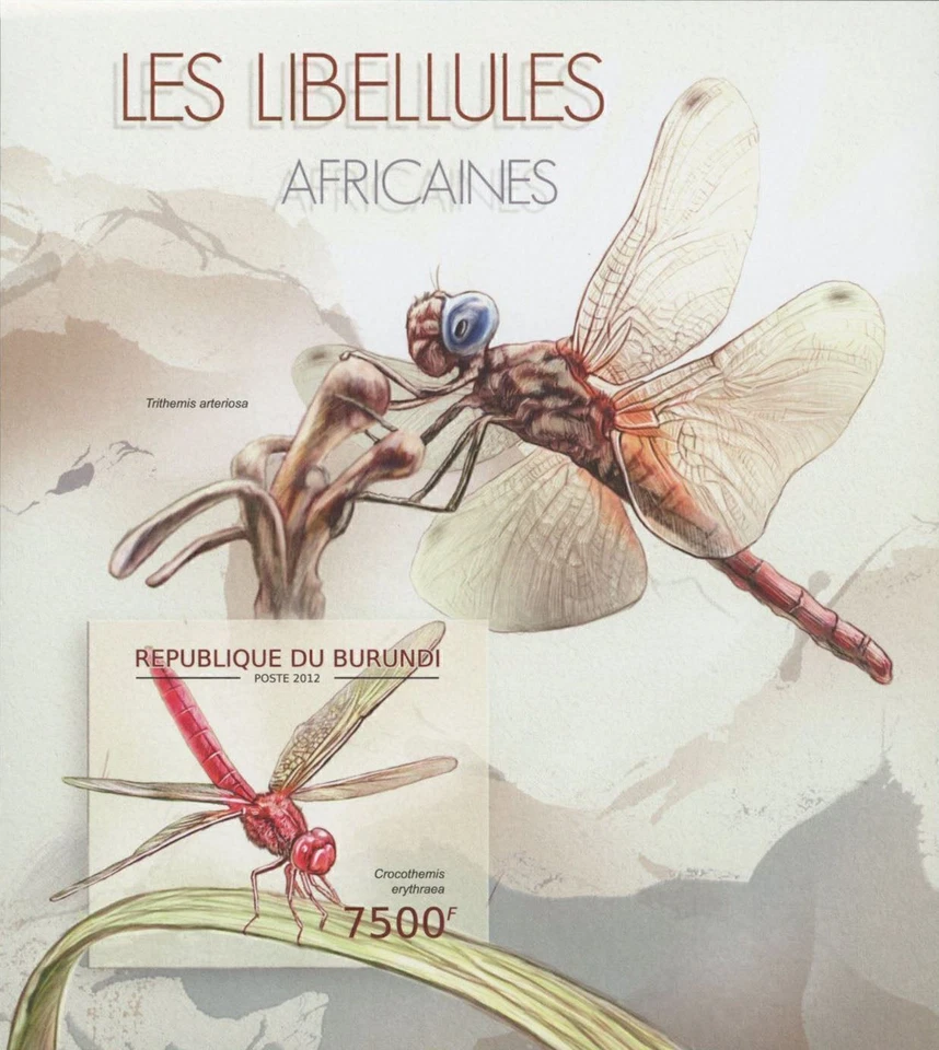 Folha de lembrança imperfurada de insetos libélulas em perfeito estado NH - Imagem 1 de 1