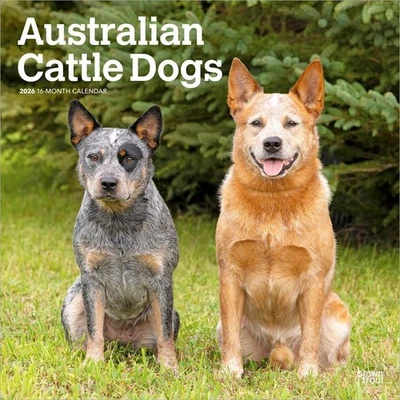 2026 Calendar Australian Cattle Dogs 16-Month Square Wall, BrownTrout BT02190 - image 1 of 4