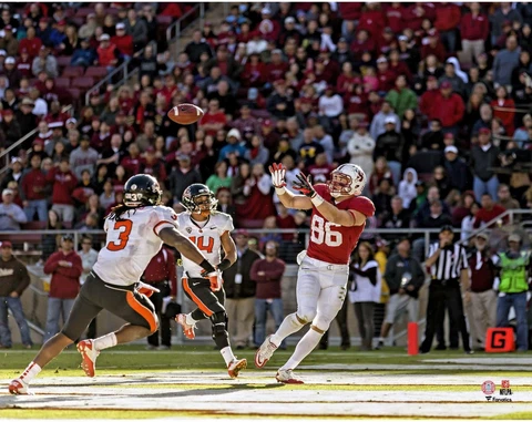 Zach Ertz Stanford Cardinal Unsigned Touchdown Catch 11" x 14" Photo - Fanatics Cover