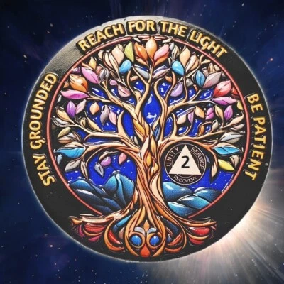 2 Years Living Sober Gift Chip Coin, Sobriety Gifts Two Year AA Medallion Token - Image 1 of 4