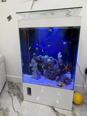 Fish Tank Salt Water - Image 1 of 4