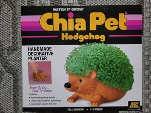 Chia Haustier Igel Deko Keramik Übertopf mit Samenpaket, Terrakotta, Neu! - Bild 1 von 2