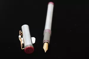 Waterman Fountain Pen in Silver with Gray/Purple Rings /  F nib - Picture 1 of 6