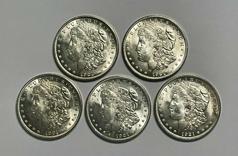 Lot of 5 AU 1921-P $1 Morgan Silver Dollars, in Vinyl Flips Cover