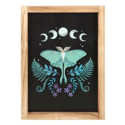 Luna Moth Wooden Framed Wall Art Decor Home Print Mystical Gifts - image 1 of 4