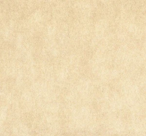 SCALA schlichte glänzend beige Tapete Abstand - Bild 1 von 1