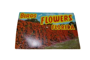 1940's Birds & Flowers of Florida   Postcard Folio set in good shape - Picture 1 of 5
