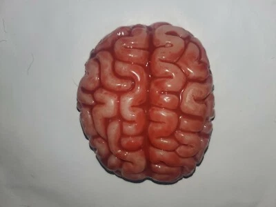 Silicone horror movie prop baby brain organ gore special effects guts splatter - Image 1 of 3