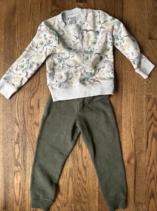 Jumping Beans Softest Fleece Sweatshirt & Sweatpants Set Size 5 Dinos Dinosaurs - Picture 1 of 4