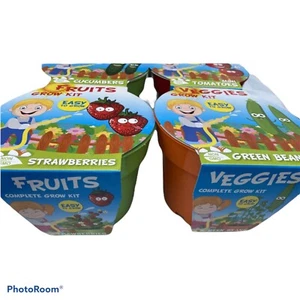 4 Pack Fruit/Vegetable Grow Kits Childrens Science Educational Project - Picture 1 of 5