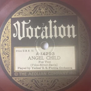 10" 78 RPM-Yerkes SS Flotilla Orchestra-Lola Lo/Angel Child/Vocalion 14293 - Imagen 1 de 4