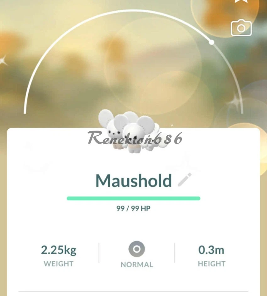 Pokémon SHINY Maushold (Familia de Tres) PTCs GO Leer Descripción Foto 1 de 1